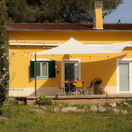 Casina Al Castello - Natura E Relax Кастель-дель-Монте Экстерьер фото