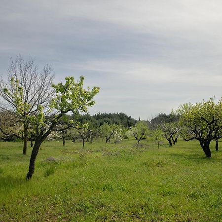 Casina Al Castello - Natura E Relax Кастель-дель-Монте Экстерьер фото