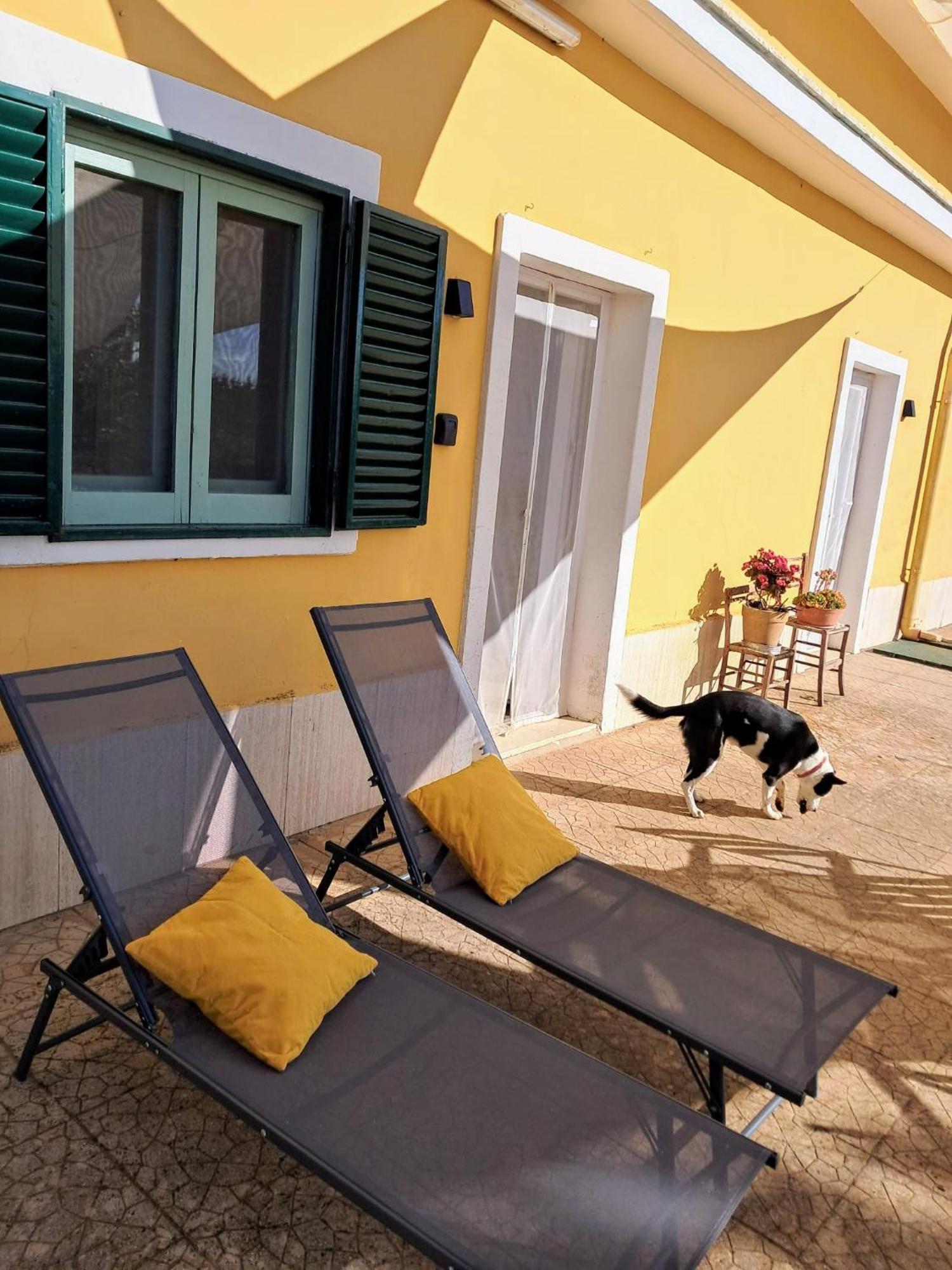 Casina Al Castello - Natura E Relax Кастель-дель-Монте Экстерьер фото